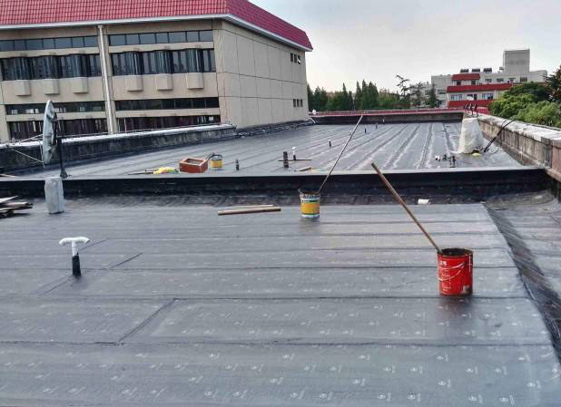 金山区厂房屋面防水
